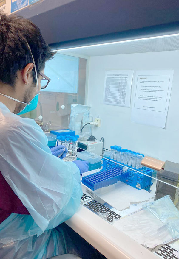 EL FUNDAMENTAL ROL DEL TECNÓLOGO MÉDICO EN LA DETECCIÓN DEL VIRUS DEL COVID-19